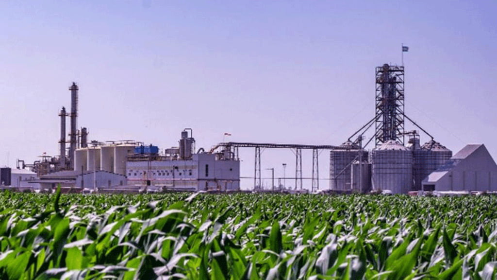 Cerealeras, Biocombustibles, Energías renovables