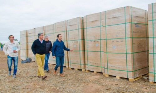 Capitanich, Chaco, Planta solar
