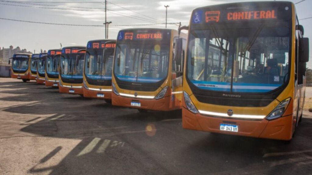 Colectivos, Córdoba, tranporte público