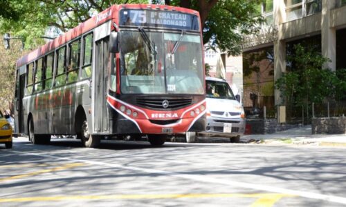 Colectivos, Córdoba, transporte público