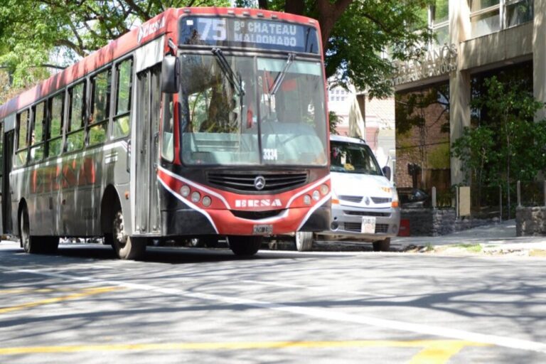 Colectivos, Córdoba, transporte público
