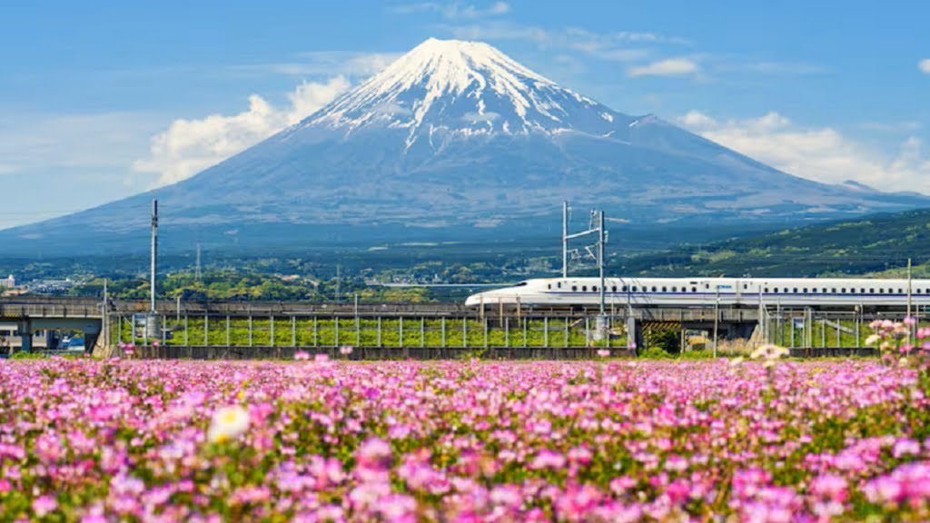 tren alta velocidad