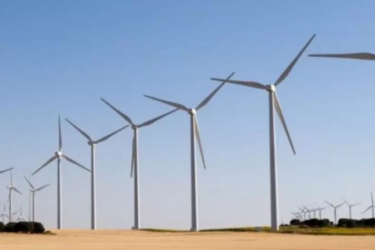 Energías renovables, Energía eólica, CADER