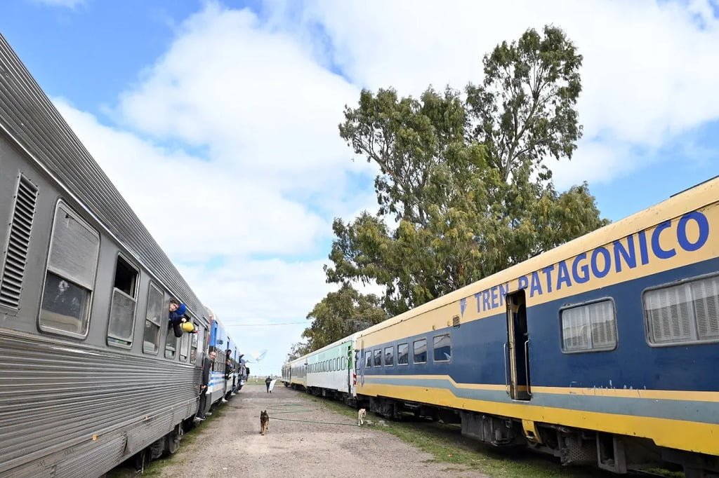 Tren Patagónico, Río Negro, Bahía Blanca