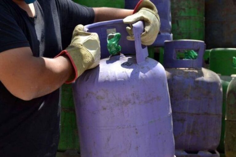 Garrafas de gas, Programa Hogar, Asistencia económica