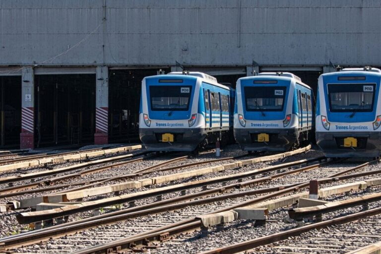 Trenes Argentinos, Electrificación, Línea Mitre