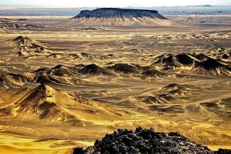 Reko Diq, Barrick, minería