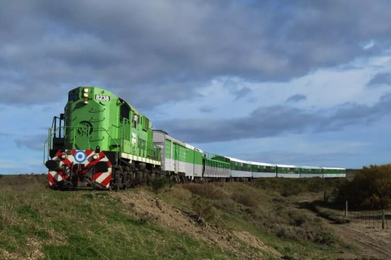 Tren Patagónico, Transporte de carga, Patagonia