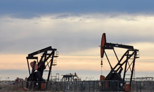 petroleo medanito