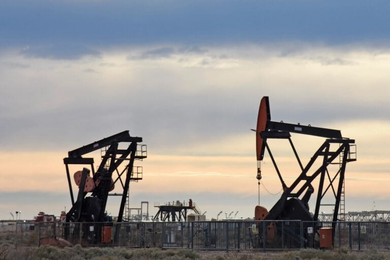 petroleo medanito
