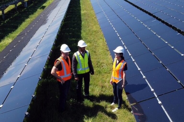 Energía solar, Energía eólica, Genneia