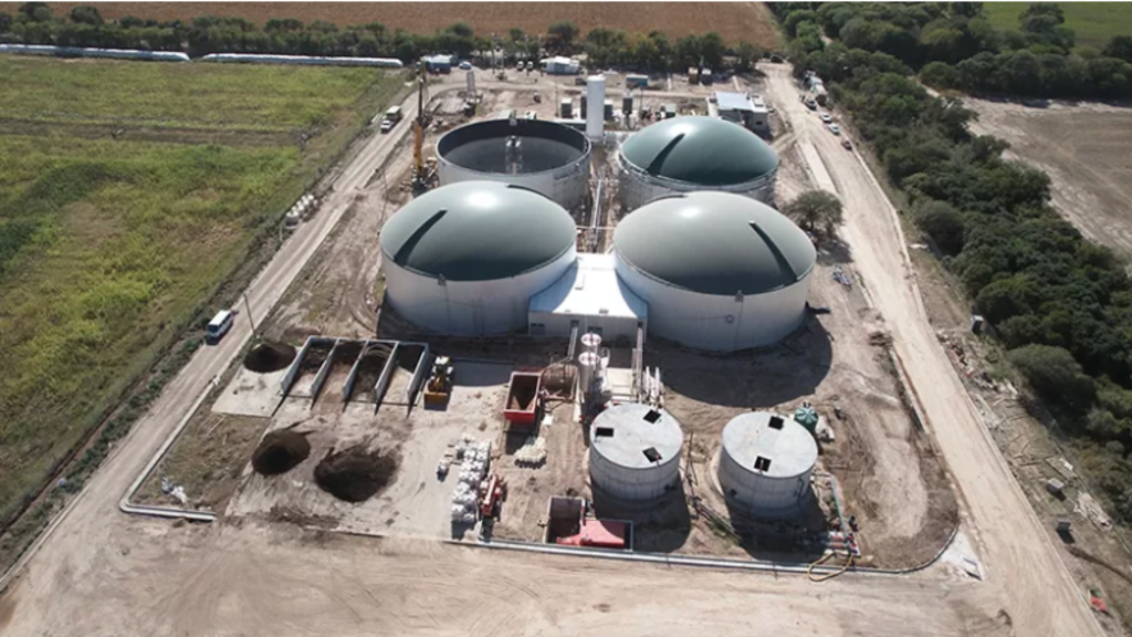 CryptoGranjas, Ceunca Neuquina, Río Negro