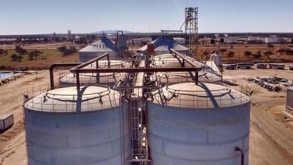 Maíz, Agroindustria, Petroleras