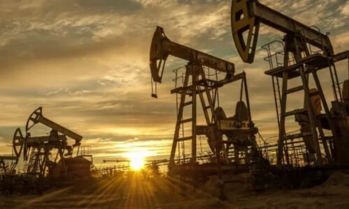 Régimen de Promoción de Áreas Maduras, Petróleo, Hidrocarburos