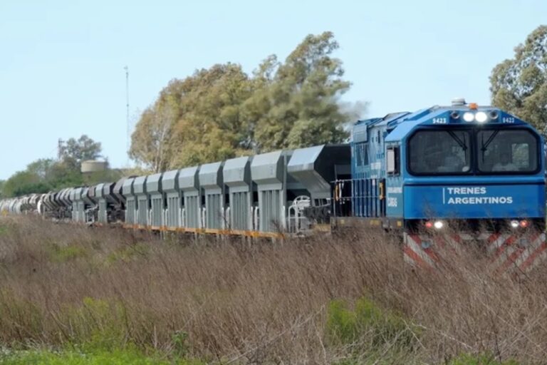 tren de carga
