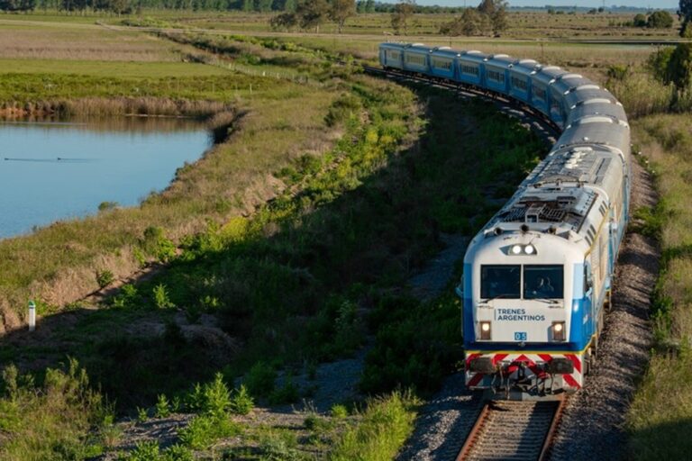 tren larga distancia