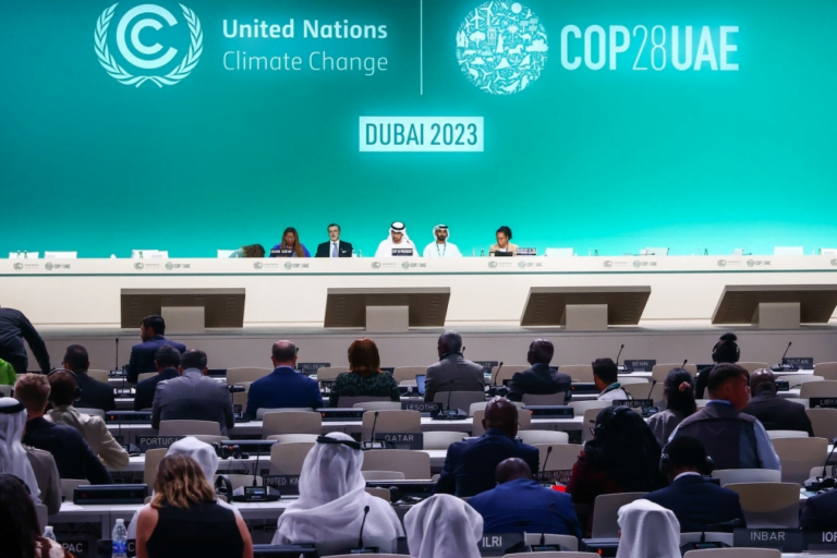 Cambio Climático, Emiratos Árabes, ONU
