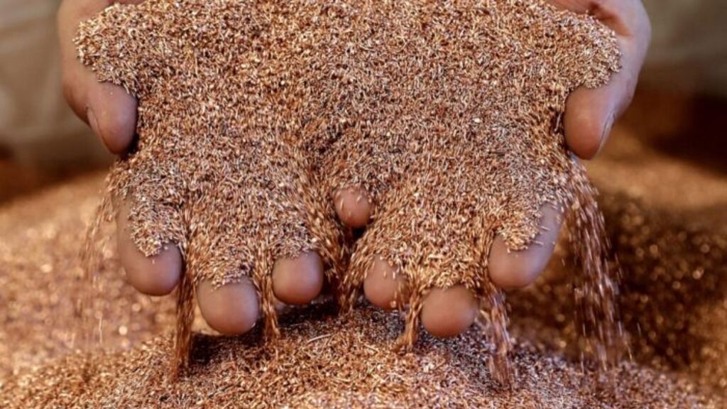 Cobre en Argentina