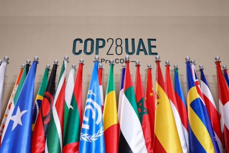 COP28, ONU, Combustibles fósiles