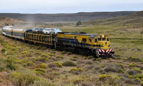 Tren Patagónico, Río Negro, Trenes