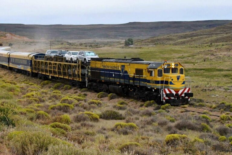 Tren Patagónico, Río Negro, Trenes