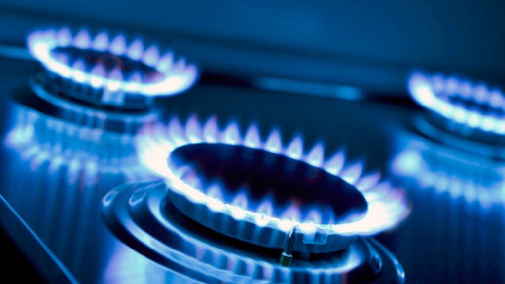 Enargas, Javier Milei, Gas