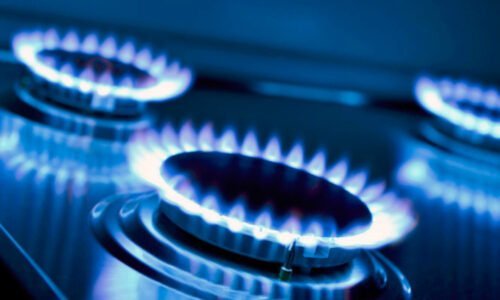 Enargas, Javier Milei, Gas
