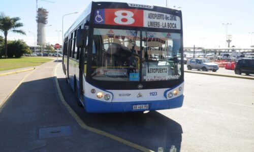 línea 8