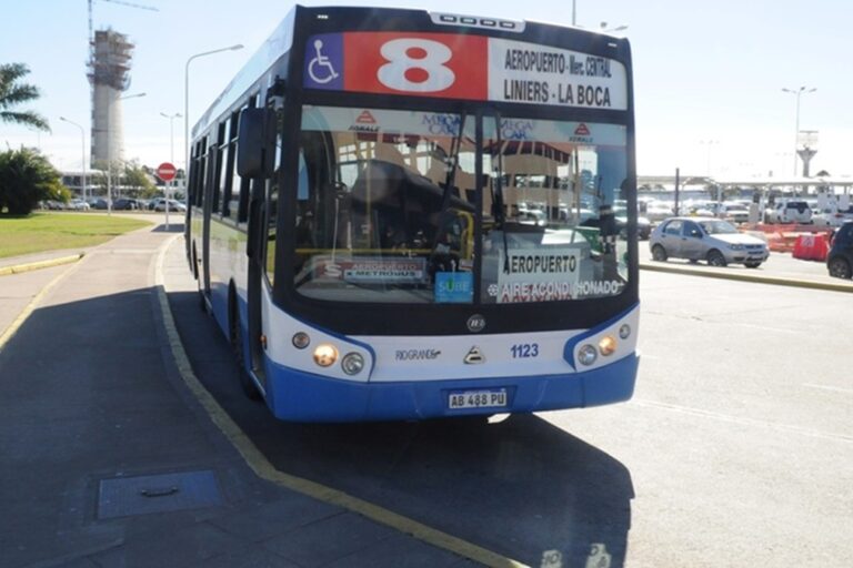 línea 8