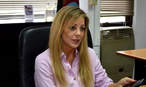 Secretaría de Minería, Flavia Royón, La Libertad Avanza