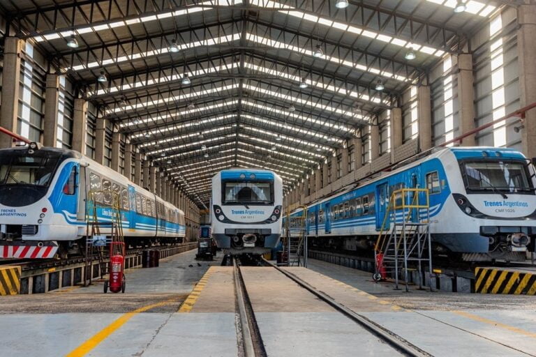 Trenes Argentinos, Privatización, Javier Milei