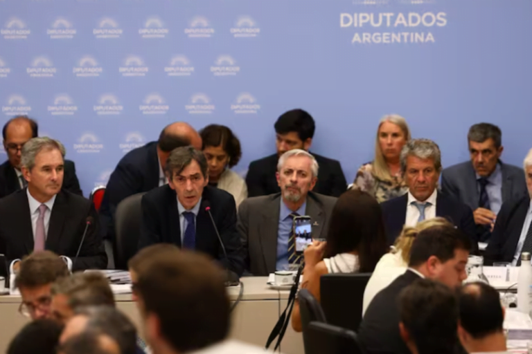 Biocombustibles, Ley Ómnibus, Naftas