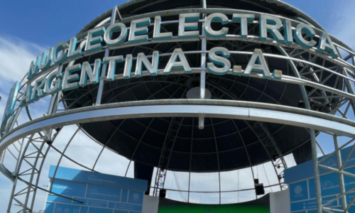 Nucleoeléctrica, Ley Ómnibus, Privatización