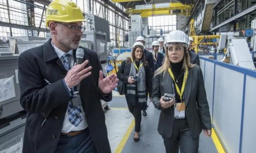 Flavia Royón, Secretaría de Minería, Alemania