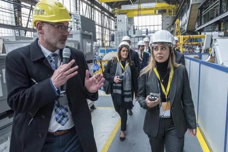 Flavia Royón, Secretaría de Minería, Alemania