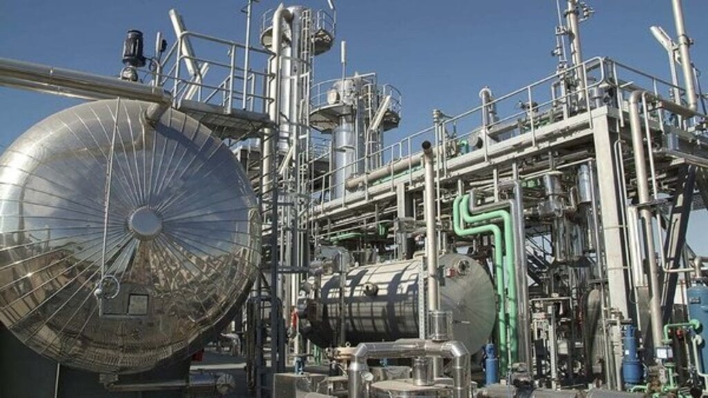 Bioetanol, Biodiesel, Corte obligatorio