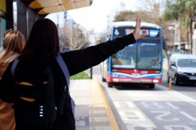 Colectivos, Transporte Público, Subsidios