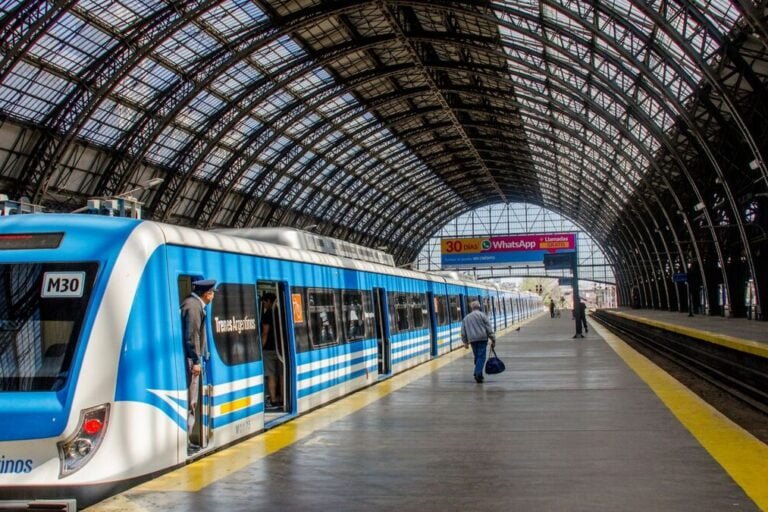 Trenes Argentinos, SOFSE, Trenes