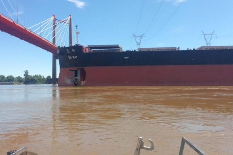Hidrovía, Zárate Brazo Largo, accidente