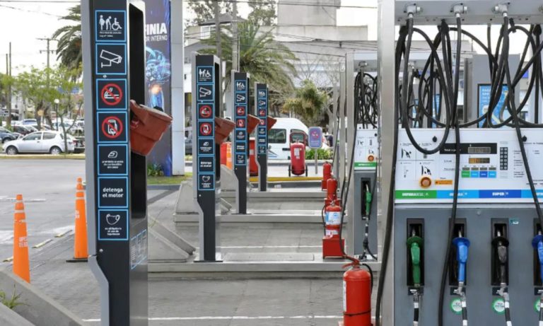 Combustibles, Consumo, Naftas y Gasoil