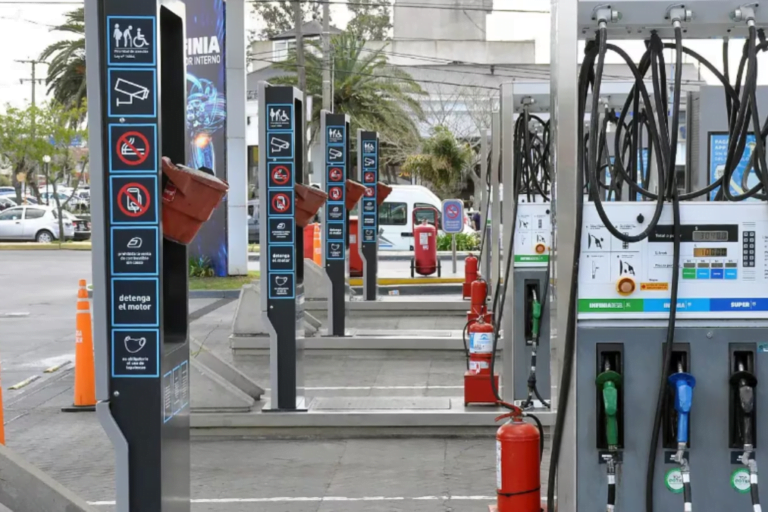 Combustibles, Consumo, Naftas y Gasoil