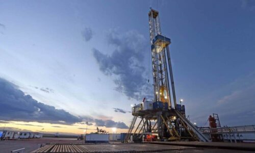Vaca Muerta, Petróleo, Enero