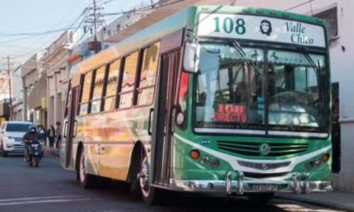 colectivo