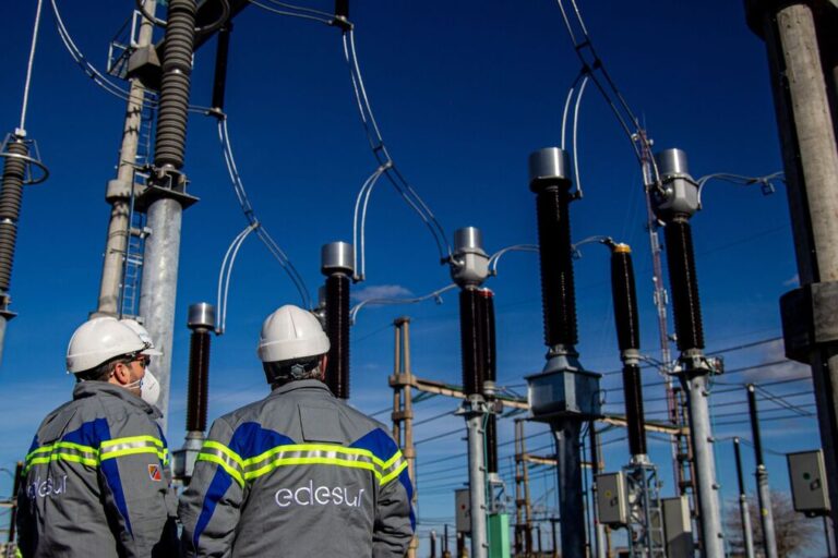 Enel, Edesur, Energía eléctrica