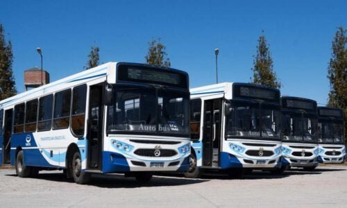 Colectivos, Adorni, Secretaría de Transporte