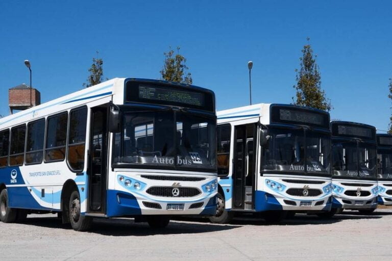 Colectivos, Adorni, Secretaría de Transporte