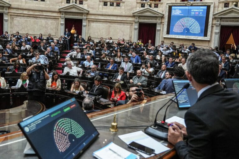 Ley Bases, RIGI, Vaca Muerta, Pymes