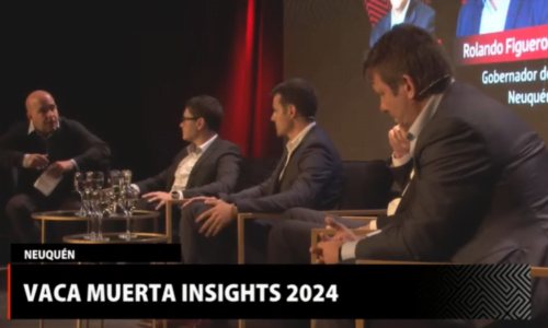 Vaca Muerta Insights 2024, Pluspetrol, Vista, Phoenix Oil&HGas, Shell