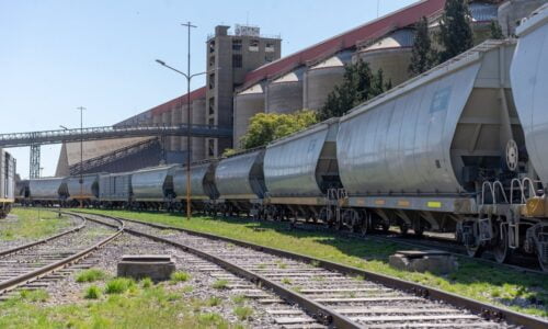 Línea San Martin, Trenes Argentinos Cargas, Desvío Ferroviario