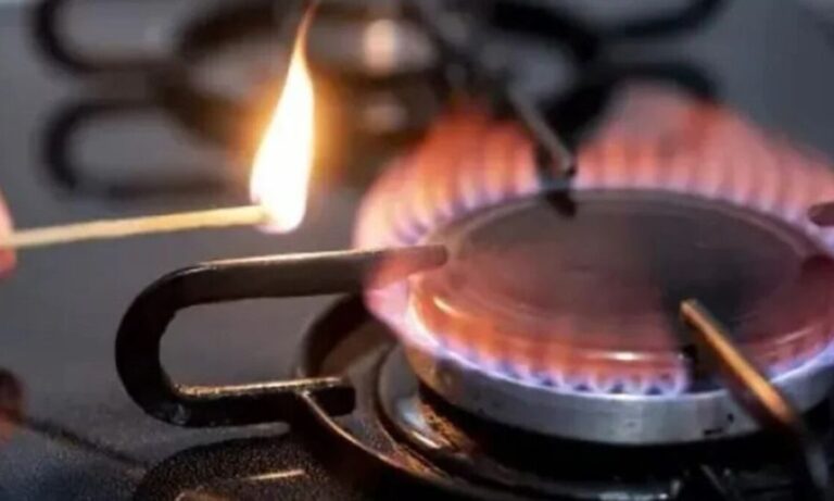 Gas, Distribuidoras, Enargas